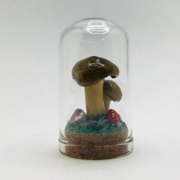 Real Mushroom Decor - Jar Fungi Collectible