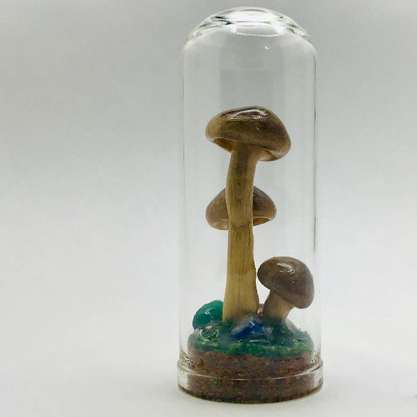 Real Mushroom Decor - Jar Fungi Collectible