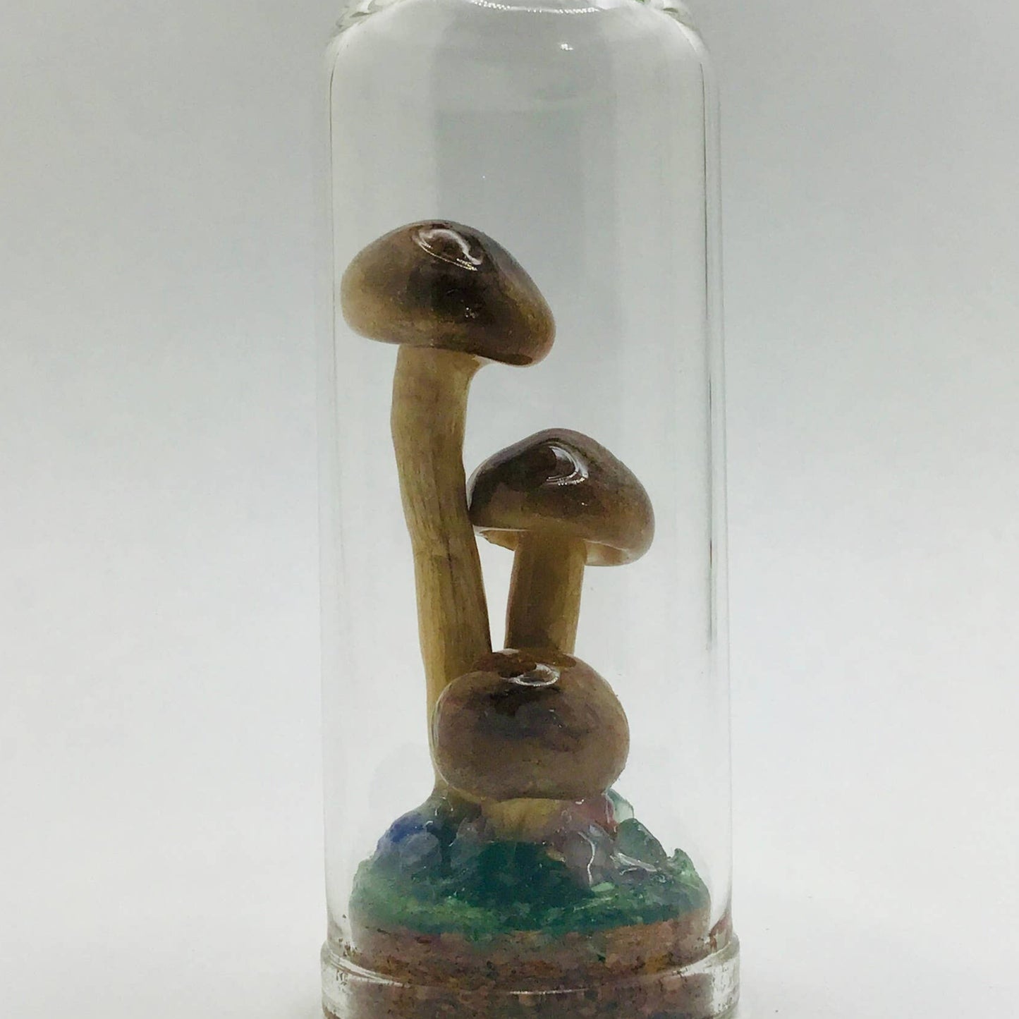 Real Mushroom Decor - Jar Fungi Collectible