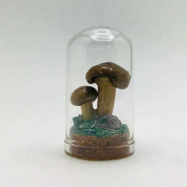 Real Mushroom Decor - Jar Fungi Collectible